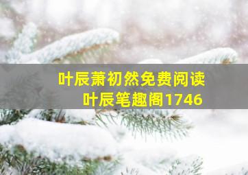 叶辰萧初然免费阅读叶辰笔趣阁1746