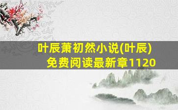 叶辰萧初然小说(叶辰)免费阅读最新章1120