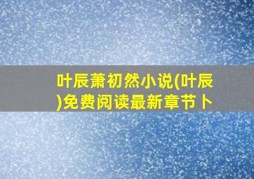 叶辰萧初然小说(叶辰)免费阅读最新章节卜