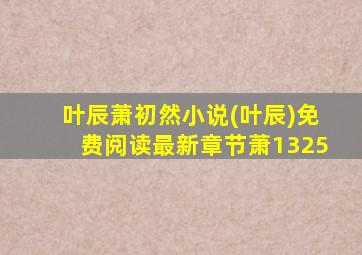 叶辰萧初然小说(叶辰)免费阅读最新章节萧1325