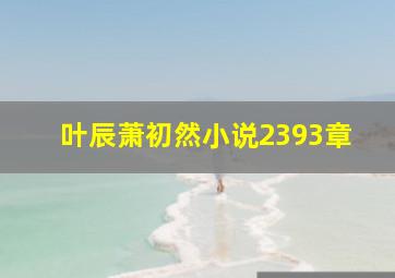 叶辰萧初然小说2393章