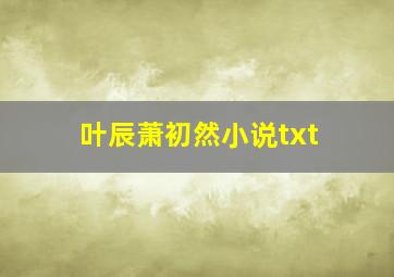 叶辰萧初然小说txt