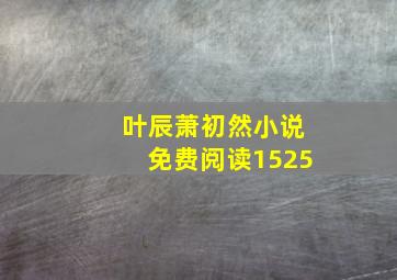 叶辰萧初然小说免费阅读1525