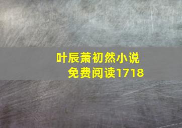 叶辰萧初然小说免费阅读1718