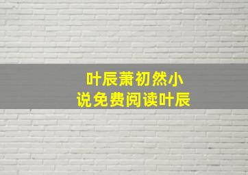 叶辰萧初然小说免费阅读叶辰