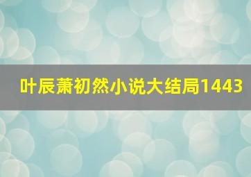 叶辰萧初然小说大结局1443