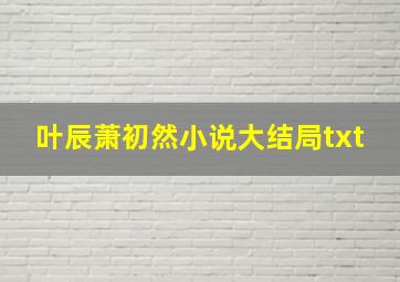 叶辰萧初然小说大结局txt