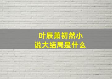 叶辰萧初然小说大结局是什么