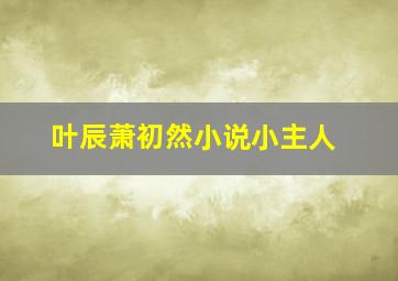 叶辰萧初然小说小主人