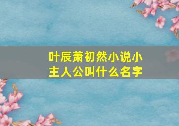 叶辰萧初然小说小主人公叫什么名字