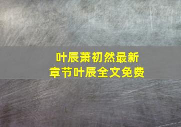 叶辰萧初然最新章节叶辰全文免费