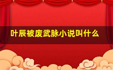 叶辰被废武脉小说叫什么