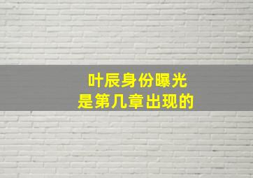 叶辰身份曝光是第几章出现的