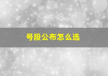 号段公布怎么选