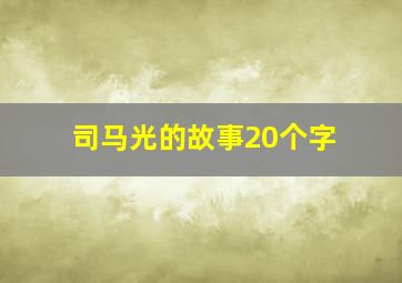 司马光的故事20个字