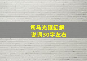 司马光砸缸解说词30字左右