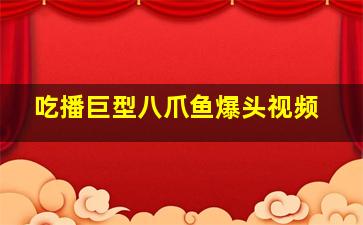 吃播巨型八爪鱼爆头视频