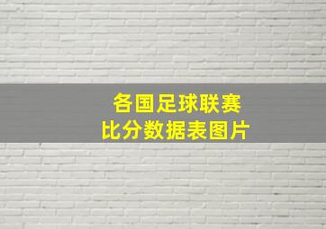 各国足球联赛比分数据表图片