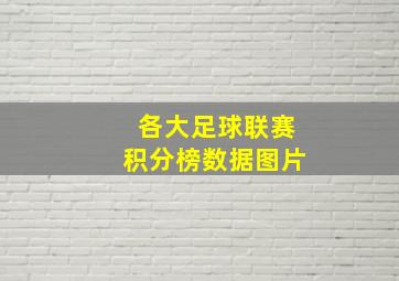 各大足球联赛积分榜数据图片