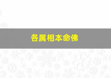 各属相本命佛