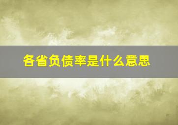 各省负债率是什么意思