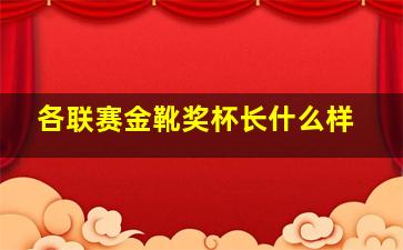 各联赛金靴奖杯长什么样