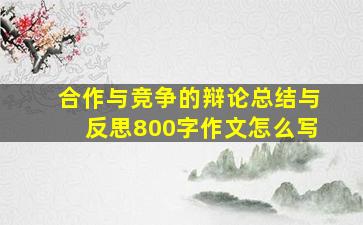 合作与竞争的辩论总结与反思800字作文怎么写