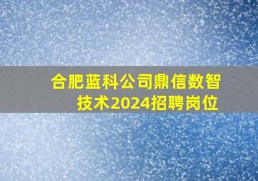 合肥蓝科公司鼎信数智技术2024招聘岗位