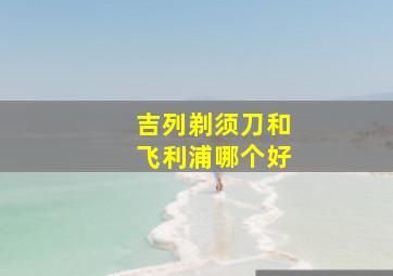 吉列剃须刀和飞利浦哪个好