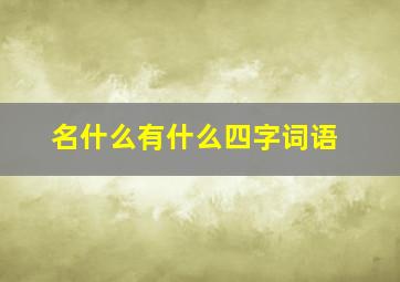 名什么有什么四字词语