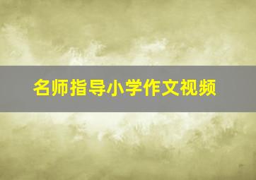 名师指导小学作文视频