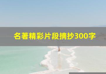 名著精彩片段摘抄300字