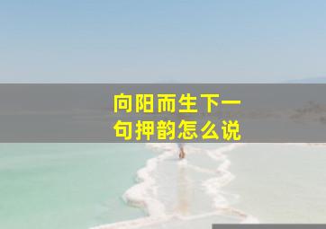 向阳而生下一句押韵怎么说