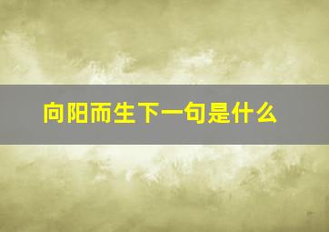 向阳而生下一句是什么