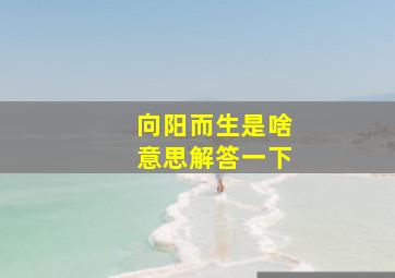 向阳而生是啥意思解答一下