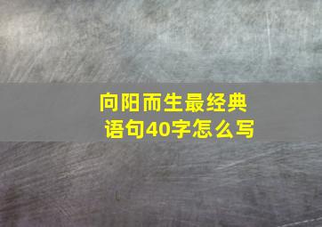 向阳而生最经典语句40字怎么写