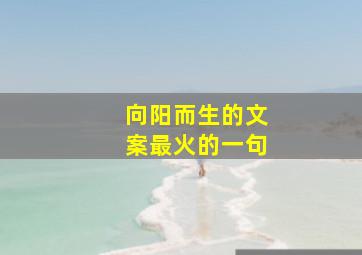 向阳而生的文案最火的一句