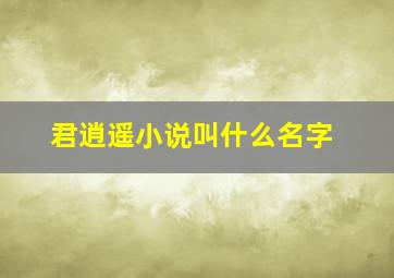 君逍遥小说叫什么名字