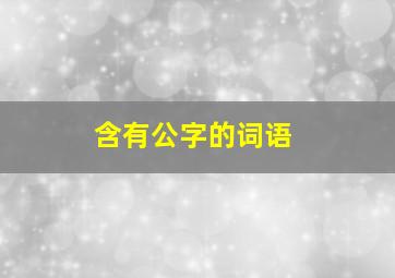 含有公字的词语