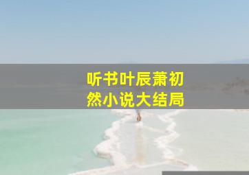 听书叶辰萧初然小说大结局