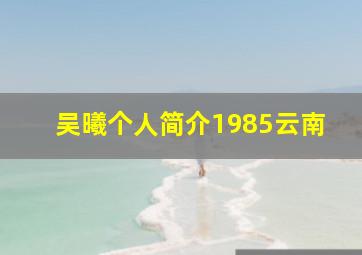 吴曦个人简介1985云南