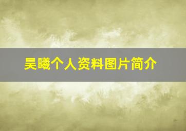 吴曦个人资料图片简介