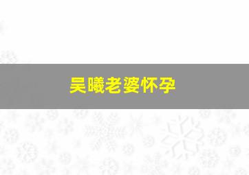 吴曦老婆怀孕