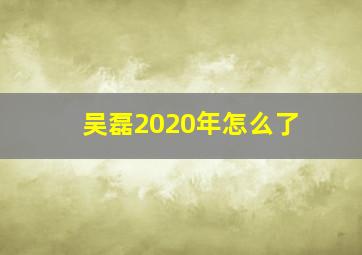 吴磊2020年怎么了