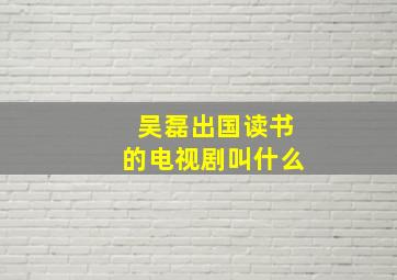 吴磊出国读书的电视剧叫什么