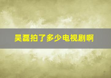 吴磊拍了多少电视剧啊