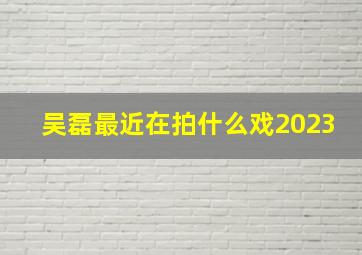 吴磊最近在拍什么戏2023