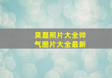 吴磊照片大全帅气图片大全最新