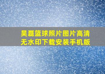 吴磊篮球照片图片高清无水印下载安装手机版