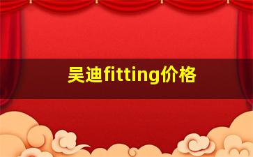 吴迪fitting价格